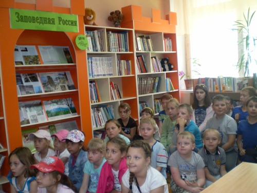 sany2065.jpg