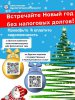 ВСТРЕЧАЙТЕ НОВЫЙ ГОД БЕЗ НАЛОГОВЫХ ДОЛГОВ!