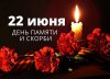 Урок мужества «Мы эту память пронесём через года...»