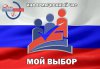 День молодого избирателя
