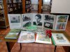 НА РОДИНЕ У ПОЭТА ПЕТРА КОМАРОВА. К 115 годовщине со дня рождения