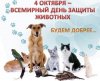 О СОЗДАНИЯХ УДИВИТЕЛЬНЫХ И ПРЕКРАСНЫХ. Экологический час